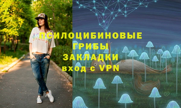 прущие грибы Аркадак
