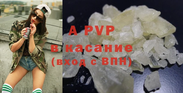 прущие грибы Аркадак