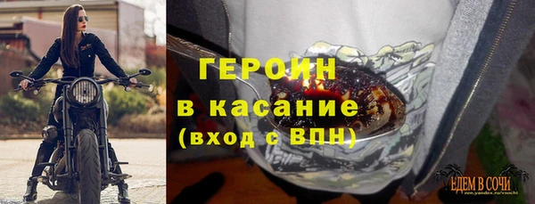 прущие грибы Аркадак