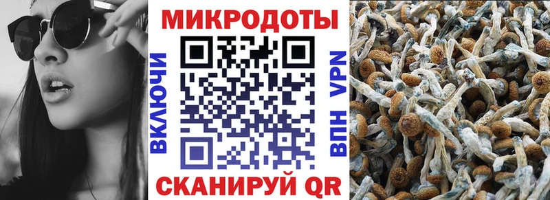 Галлюциногенные грибы мухоморы  цены наркотик  Кореновск 