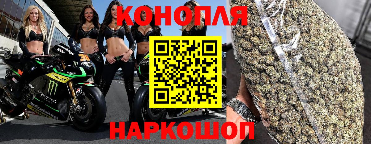 Канабис сатива Кореновск